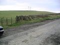2 lonely trees - geograph.org.uk - 72380.jpg
