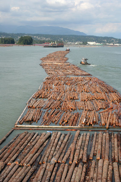 Soubor:Log driving in Vancouver.jpg
