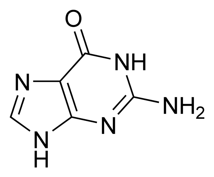 Soubor:Guanine chemical structure.png
