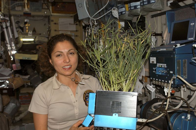 Soubor:Anousheh Ansari in the ISS.jpg