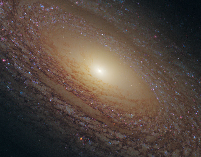 Soubor:NGC 2841.jpg