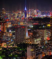 Beautiful Tokyo Skyline From The Ritz-Carlton-TRFlickr.jpg