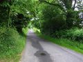Faccary Road - geograph.org.uk - 1377108.jpg