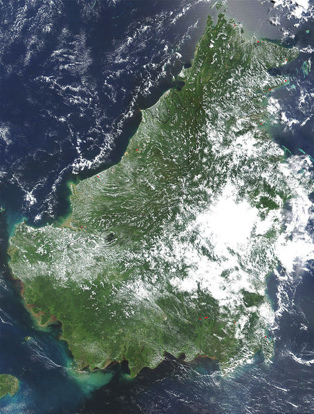 Soubor:Borneo sat.jpg