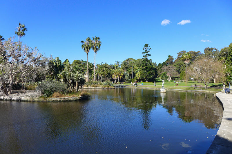 Soubor:Royal Botanic Gardens Main Pond 2017.jpg