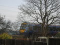 C2C train going past my back garden. - geograph.org.uk - 131170.jpg