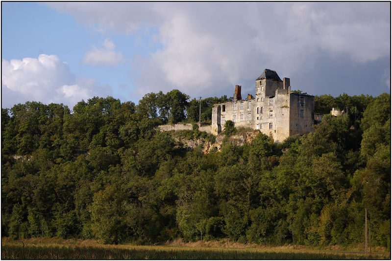 Soubor:SAINT-AUBIN-DE-NABIRAT (Dordogne) - Chateau ruiné Le Repaire depuis Le Camaril.jpg