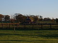4-5 Pym's Cottages - geograph.org.uk - 79946.jpg