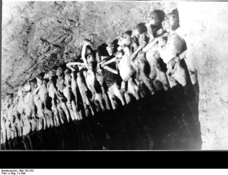 Soubor:Bundesarchiv Bild 192-252, KZ Mauthausen, offenes Massengrab.jpg