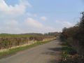 'Harley Way' heading east to Fermyn Woods - geograph.org.uk - 378174.jpg