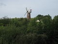 Quainton Windmill - geograph.org.uk - 60139.jpg
