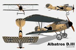 Albatros D.III 3 vues.jpg