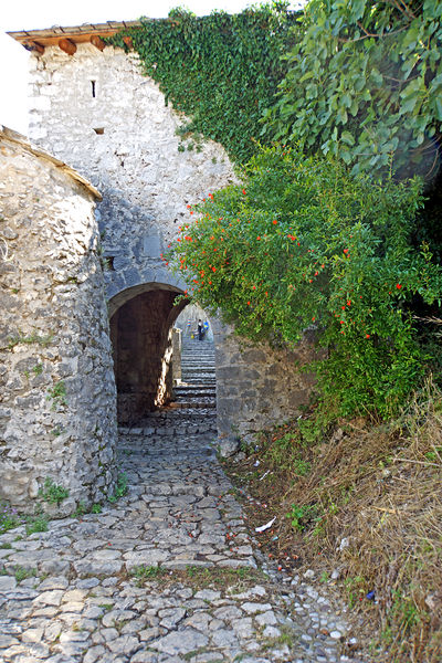 Soubor:Bosnia and Herzegovina-02171-Castle Entrance-DJFlickr.jpg