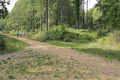 4-way path junction near centre of West Walk, Forest of Bere - geograph.org.uk - 234518.jpg