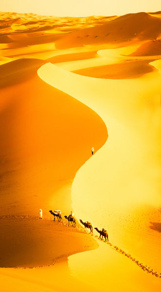 Soubor:Crossing the Sahara Flickr.jpg