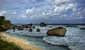 A beach Barbados Flickr.jpg
