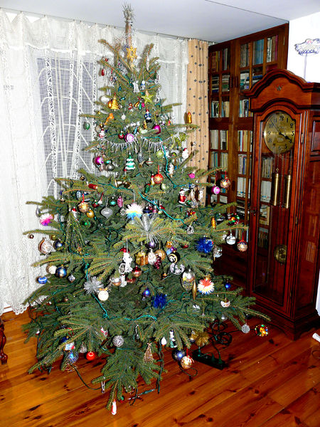 Soubor:Piotrus XMAS Tree 2008 05.JPG
