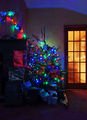 Wraxall 2013 MMB 93 Christmas Tree.jpg