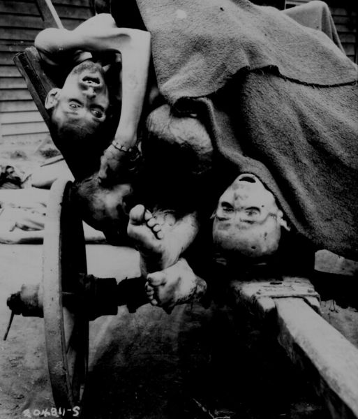 Soubor:Some of the bodies being removed by German civilians for decent burial at Gusen Concentration Camp, Muhlhausen, near Linz, Austria.jpg