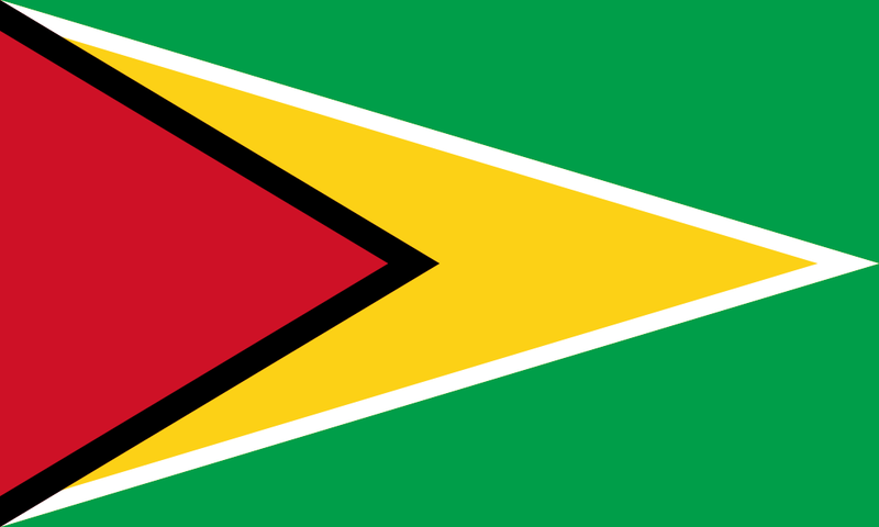 Soubor:Flag of Guyana.png