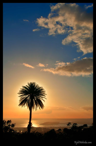 Soubor:Puu Ualakaa Sunset Silhouette.jpg