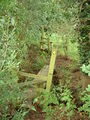 2 Stiles and a Footbridge. - geograph.org.uk - 537123.jpg