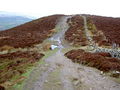 4-Way Footpath Junction in the Clwydian Range - geograph.org.uk - 760261.jpg