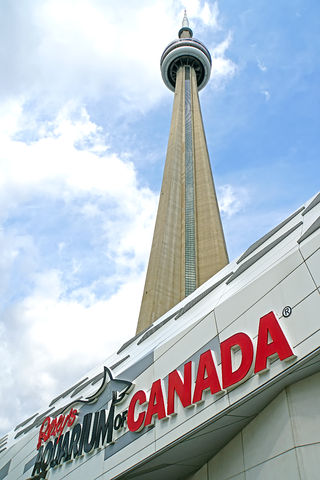 CN Tower v Torontu od gigantického akvária (2017)