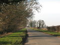 'Roman Road' near Aldborough - geograph.org.uk - 329944.jpg