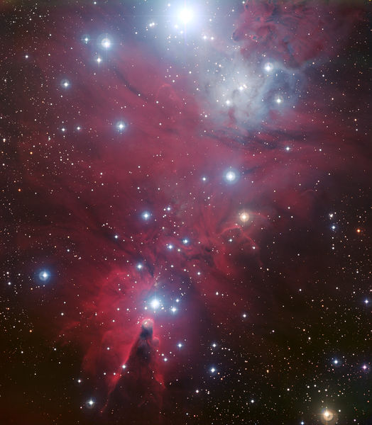 Soubor:NGC 2264 by ESO.jpg