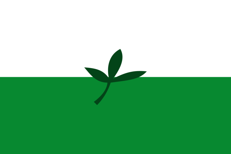 Soubor:Flag of Vaupés.png