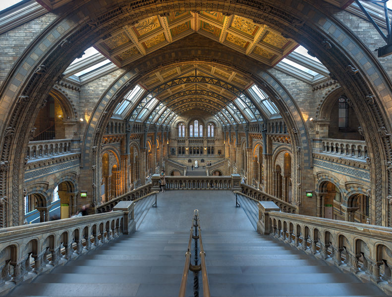 Soubor:Natural History Museum Main Hall, London, UK - Diliff.jpg