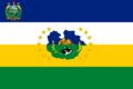 Flag of Guárico.png