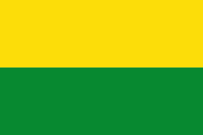 Soubor:Flag of Vichada.png