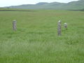 3 Standing Stones - geograph.org.uk - 21064.jpg