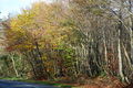 Y Ffordd i Bentrefelin - The Road to Pentrefelin - geograph.org.uk - 609573.jpg