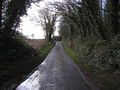 KIln Lane , Killerby. - geograph.org.uk - 148554.jpg