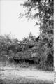 Bundesarchiv Bild 101I-586-2215-34A, Frankreich, Panzer in Deckung.jpg