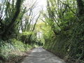 "A typical Sussex lane" - geograph.org.uk - 788318.jpg