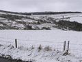 Faccary in the snow - geograph.org.uk - 712111.jpg