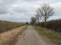 'Retired' Road near Baldersby. - geograph.org.uk - 356972.jpg