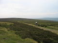 C2C Cycle Track near Dead Friar's Stone - geograph.org.uk - 209311.jpg