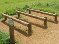 "Log hops" in fitness circuit, Stockley Park - geograph.org.uk - 815478.jpg