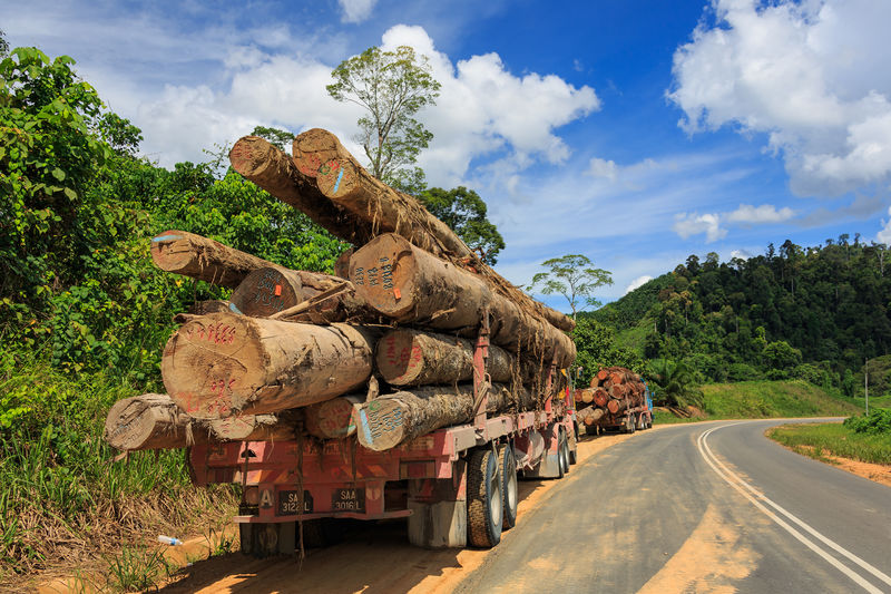 Soubor:District-Tawau Sabah Logging-Trucks-01.jpg