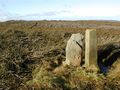Faber Stone and Boundary Stone - geograph.org.uk - 76863.jpg