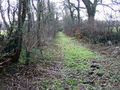 'Restricted byway' leading to Priskilly Forest - geograph.org.uk - 335647.jpg
