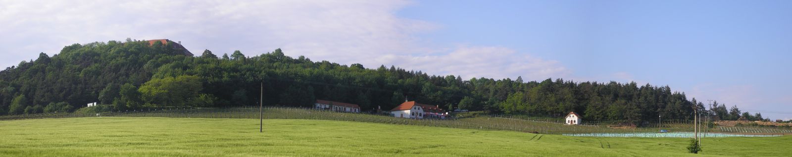 Panorama vrchu, zámku a vinic