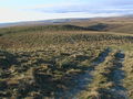 Quad track continuing south-west along the summit ridge of Long Hill - geograph.org.uk - 1104348.jpg