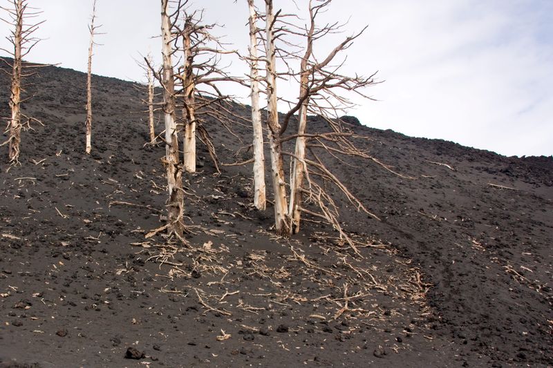 Soubor:Etna 2008 IMG 1844b.jpg