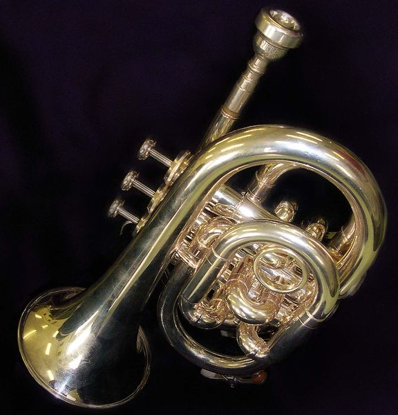 Soubor:Pocket trumpet2.jpg